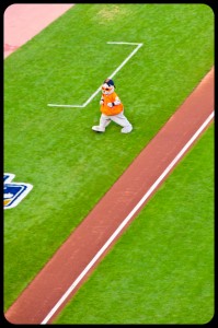 Lou Seal